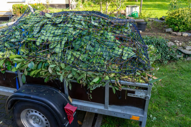 Best Commercial Junk Removal  in Ferndale, MI
